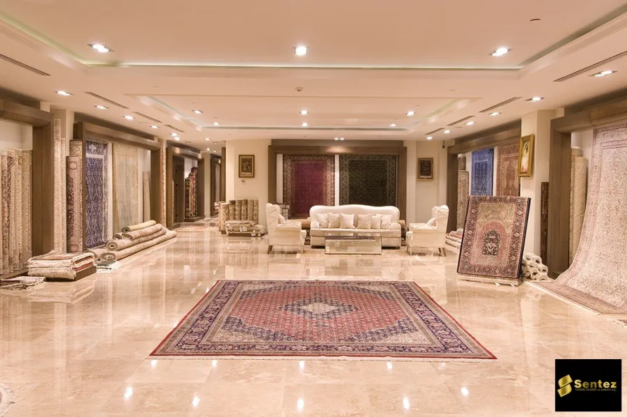 مجموعة Sentez INC. — إطلالة 1