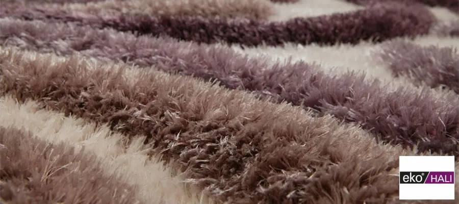 Colecția EKO Carpet Ltd. — ținuta 1