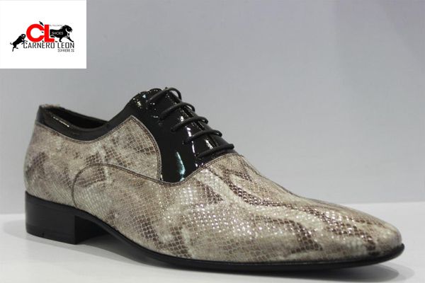 Colecția Carnero Leon - Kocaslan Shoes and Bags Ltd. — ținuta 3