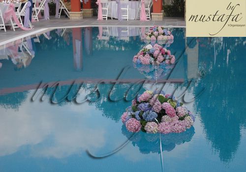 Mustafa Wedding Organization collection