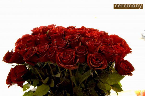 مجموعة Ceremony Organizasyon Ltd — إطلالة 3