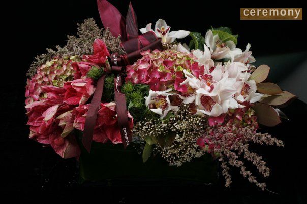 مجموعة Ceremony Organizasyon Ltd — إطلالة 2