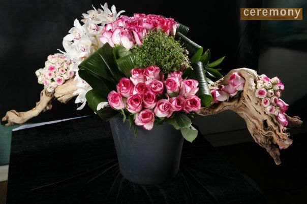 مجموعة Ceremony Organizasyon Ltd — إطلالة 1
