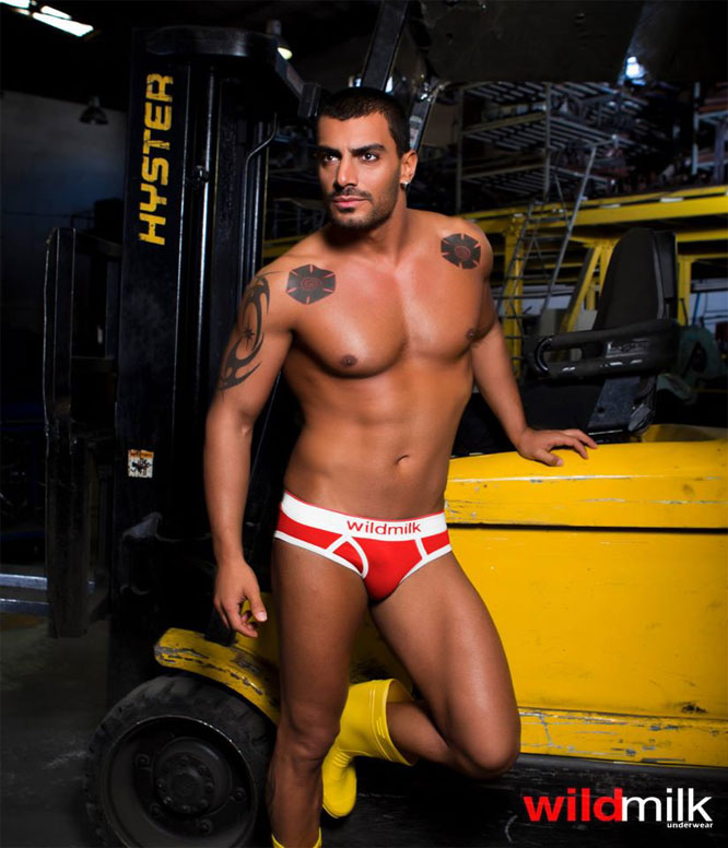 Wildmilk Underwear koleksiyonu — görsel 1
