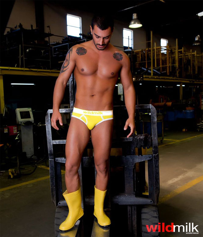 Wildmilk Underwear koleksiyonu — görsel 3