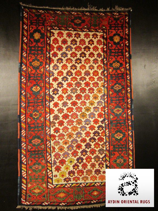 Colecția Aydin Oriental Rugs — ținuta 2
