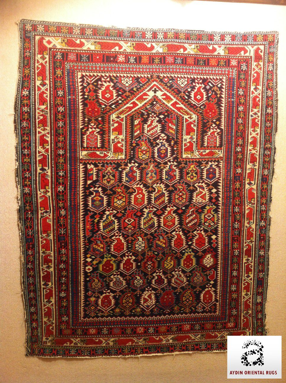 Colecția Aydin Oriental Rugs — ținuta 1