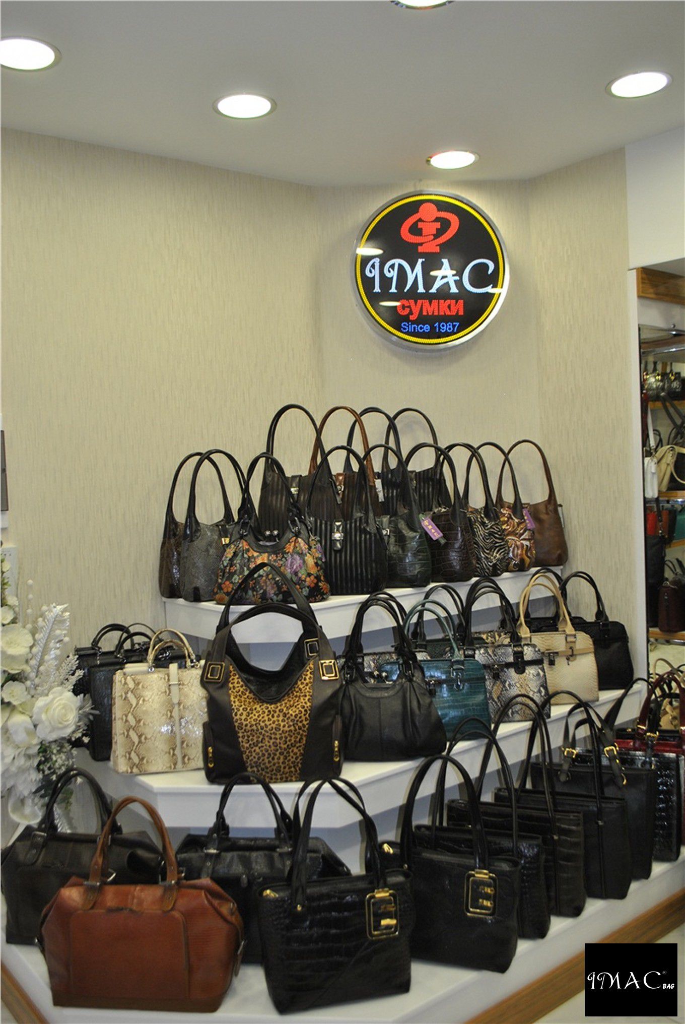 Collection Imac BAG