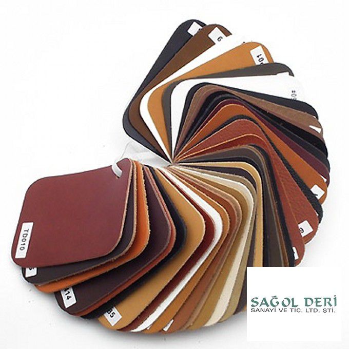 Sagol Leather Ltd. koleksiyonu