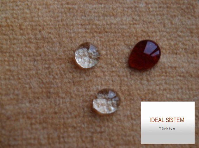 مجموعة Ultravite Ltd. — إطلالة 3