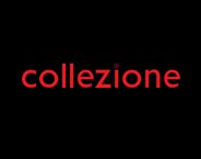 Collezione Fashion logosu
