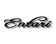 Entari Shirts logosu