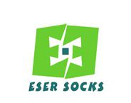 شعار Eser Ltd.