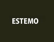 Лого на Estemo Fashion