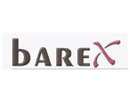 Bareks Labels Barkod Ltd. logo