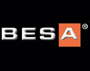 Besa Synthetic Leather Ltd. . logosu