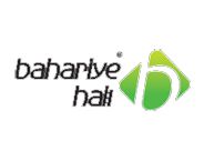 Bahariye Carpets logo