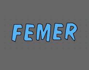 Femer Textile logo