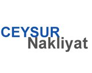 Логотип Ceysur Logistics