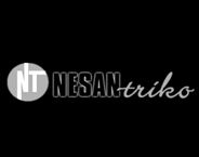 Nesan Textile Ltd. logo