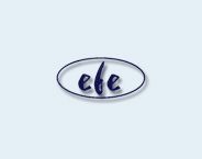 EFE Textile logo