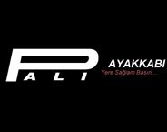 Pali Shoes Kimya and IS GUV. Ltd. logo
