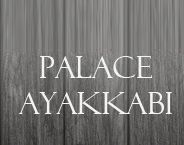 Palace Shoes Leather Textile Gida Ltd. logo