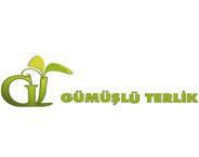 Gumuslu Terlik Shoes logo