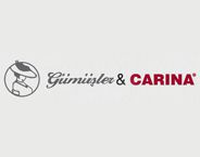 شعار Gumusler Textile ve Tourism Ltd.