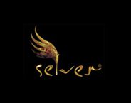 Selver Decoration Textile Ltd. logo