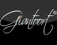 Giantoort Cloting logosu
