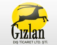 Logotipo de Gizlan Textile
