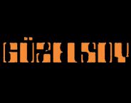 Guzelsoy Textile logo