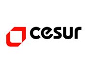Cesur Ambalaj Ltd. logo