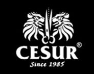 Logo von Cesur Textile