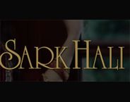 Sark Carpets logo