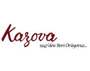 Лого на Kazova Knitting