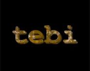 Logo von Tebi Textile