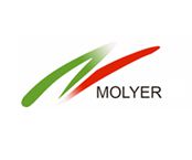 Molyer Shoes logo