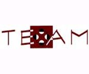 Team Textile logo