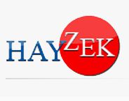 Hayzek logo