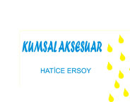Beach Accessorıes logo