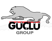 Guclu Group logo