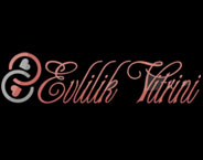 Logo Evlilik Vitrini