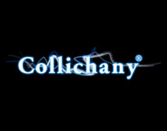 Logo von Kolican Shoes Ltd.