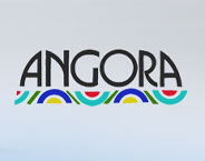 Angora Carpets logo
