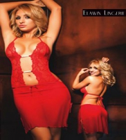 Elawin Lingerie Collection  2013