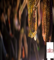 KAR KOTON PAMUKLU TEXTILE LTD. Collectie  2014