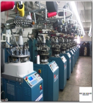 KOSELI CORAPLARI TEXTILE LTD. Mallisto  2014