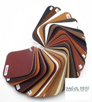 SAGOL LEATHER LTD.  Collection  2014